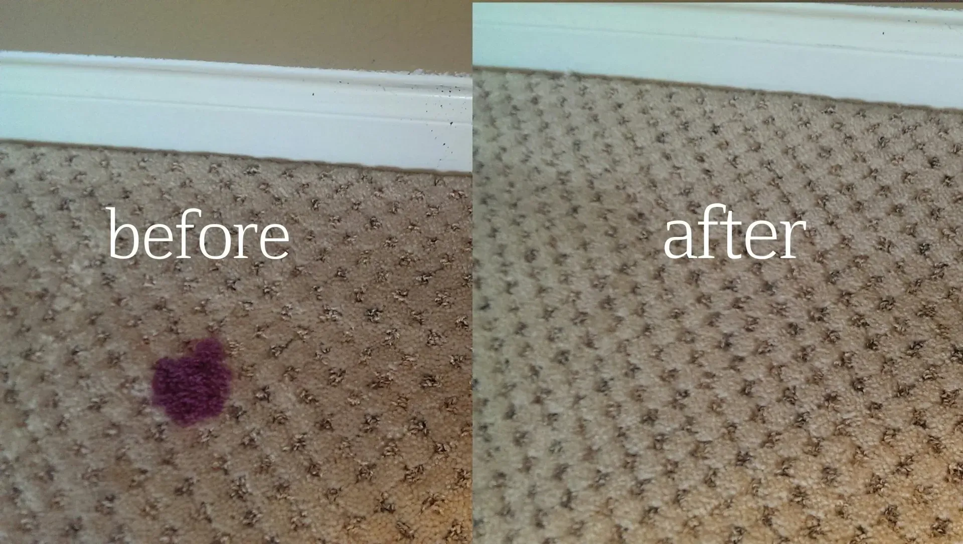 Before and after: a purple stain lifted out of beige carpet